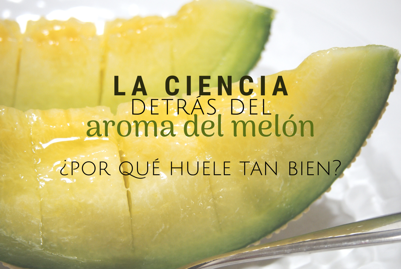 Don Melón