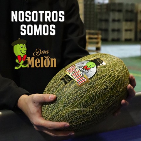 Don Melón