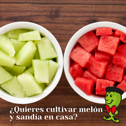 Don Melón