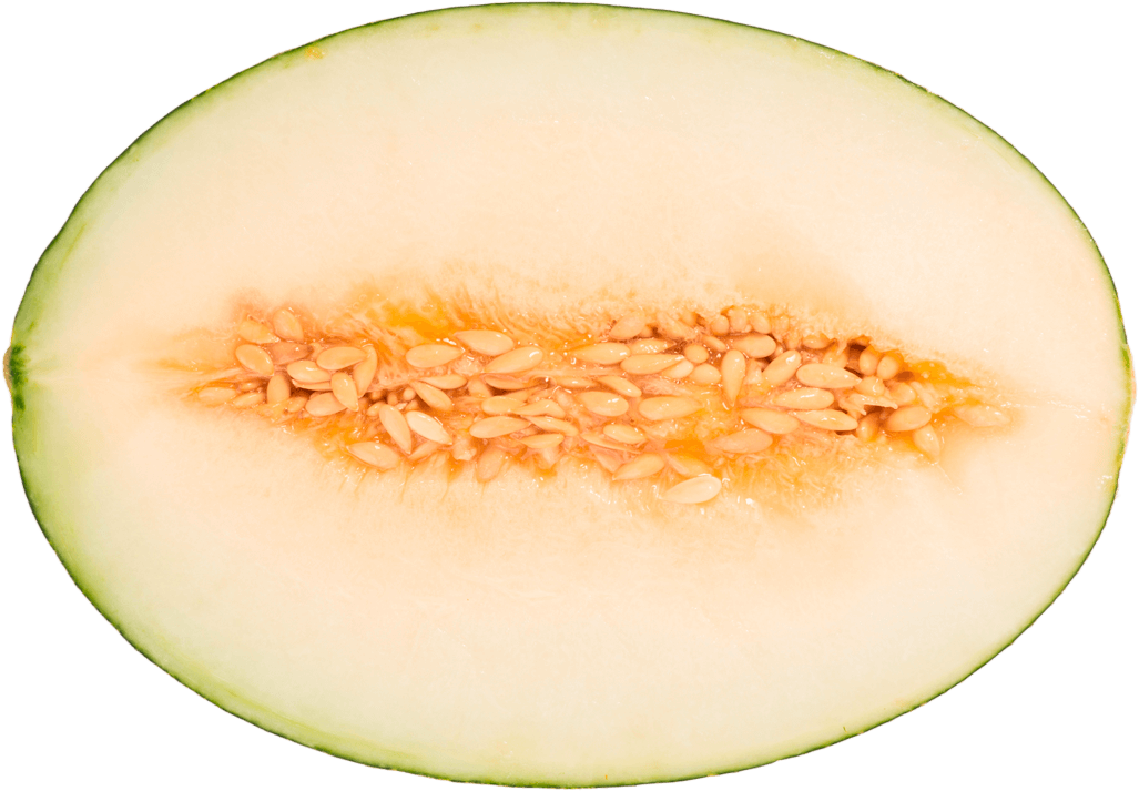 Don Melón