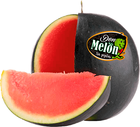 Don Melón
