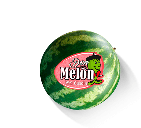 Don Melón