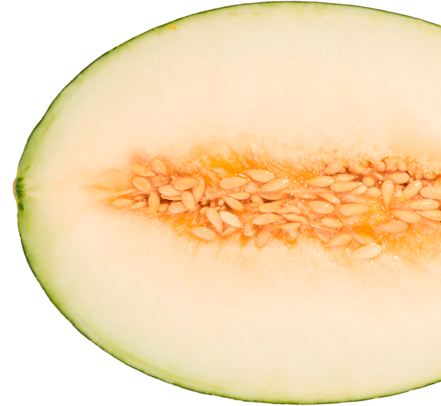 Don Melón